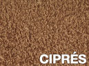 ciprès
