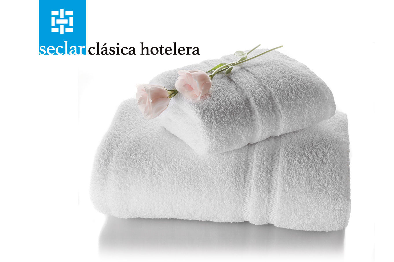 Toalla/Toallón Seclar Clásica Hotelera