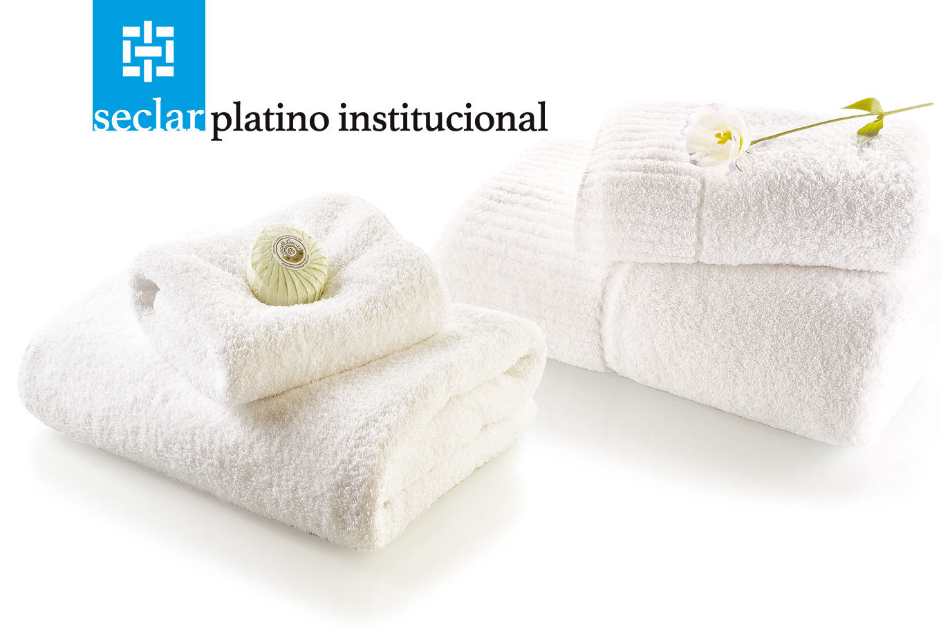 Seclar Platino Institucional